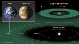 First Earth sized planet found in habitable zone